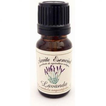 Labiatae Aceite Esencial Lavanda