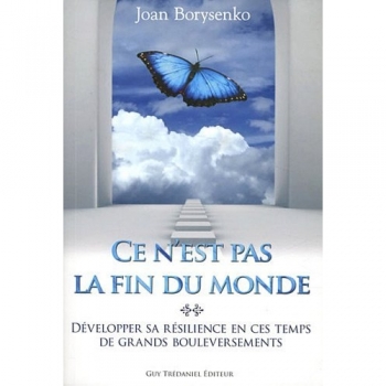 Ce n'est pas la fin du monde: Développer sa résilience en ces temps de grands bouleversements