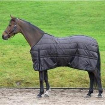 Masta Basics cuello estándar 200 G caballeriza medio, marrón, 7'0