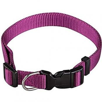 Arppe 2240014511 - Collar Nylon Basic, Morado, L, 1 unidad