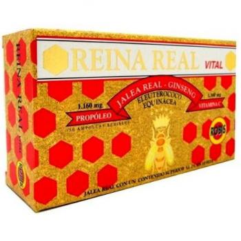 Robis Reina Real | Jalea Real Fresca | Refuerza la Vitalidad - Estimulante - Defensas - Tonificante | Ginseng Rojo Coreano, Eleuterococo, Equinácea, Propóleo, Vitaminas | 30 ampollas de 10ml