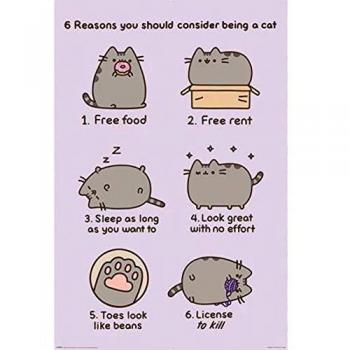 Pyramid International Reasons to be a Cat Pusheen - Póster