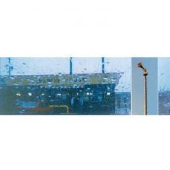 The Storms Of Early Summer: Semantics Of Song [Vinilo] - Cursive
