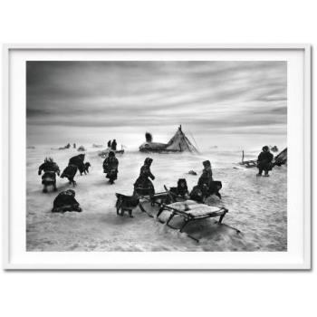 Sebastio Salgado: Genesis, Art Edition B