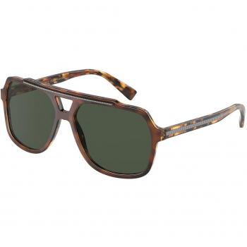 Dolce & Gabbana DG4388 Polarized 60mm Brown Men's Sunglasses