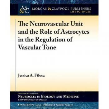 Unidad Neurovascular y el Papel de los Astrocitos en la Regulación del Tono Vascular (Serie de Coloquios sobre Neuroglía en Biología y Medicina, Volumen 6) - Edición en Tapa Blanda