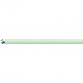 Osram T8 de colores - Lámpara fluorescente, G13L 18 W/66