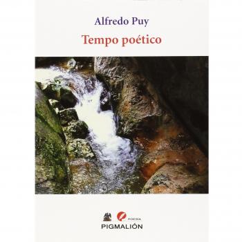 Tiempo poético