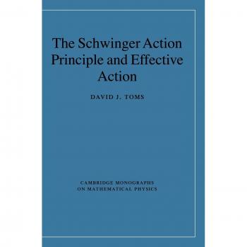 Principio de Acción Schwinger y Acción Efectiva (Monografías de Cambridge en Física Matemática)