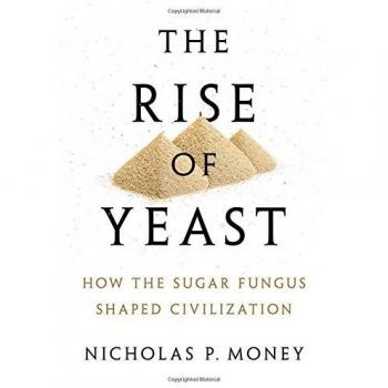 The Rise of Yeast: How the Sugar Fungus Shaped Civilization