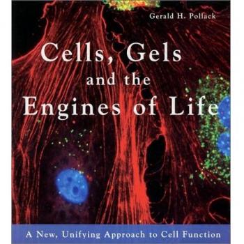 Cells, Gels & the Engines of Life: A New Unifying Approach to Cell Function