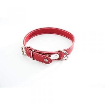 Collar acolchado para perro con placa Martin Sellier