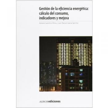 Gestión de la eficiencia energética: cálculo del consumo, indicadores y mejora