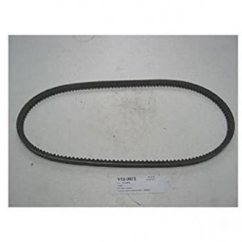 ashuki V13 – 0975 correa dentada