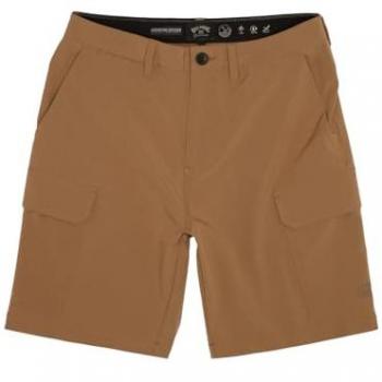 Pantalones Cortos Cargo Billabong Surftrek Marrón 30