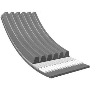 Correa trapecial poli V MEYLE 050 006 0820