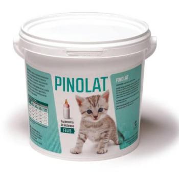 Leche Maternizada en Polvo para Gatitos PINOLAT con Biberón y Cacillo Medidor - Paquete de 4 Sobres x 20 gr