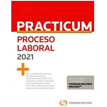 Practicum Proceso Laboral 2021