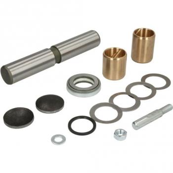 Kit de reparación pivote del muñón del eje REINHOCH RH21-3002
