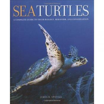 Sea Turtles: A Complete Guide to Their Biology, Behavior, and Conservation