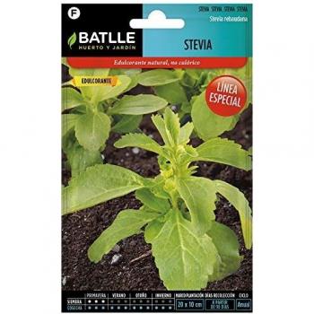 Stevia