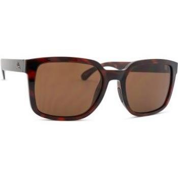 Gafas de sol de hombre Warlock Quiksilver