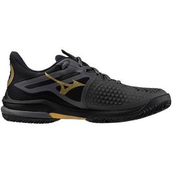 Zapatillas de tenis Mizuno Wave Exceed Tour 6 CC 10th