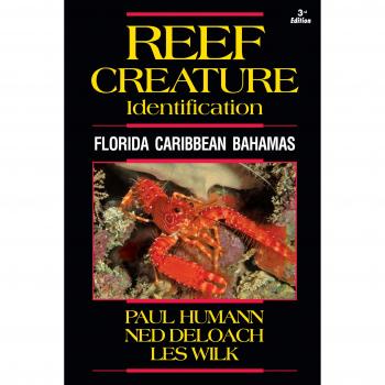 Reef Creature Identification