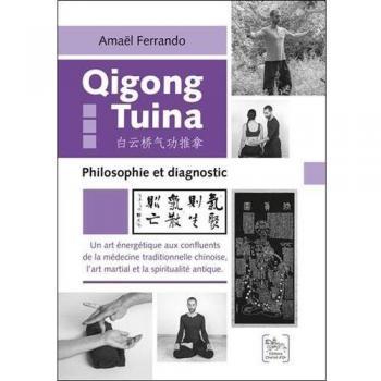 Qigong Tuina Volume 3 - Philosophy and Diagnosis Guide
