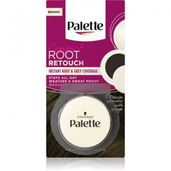 Brown Palette Compact Root Retouch - Temporary Hair Color Corrector for Roots and Grey Hair (3g)