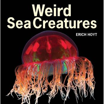 Weird Sea Creatures