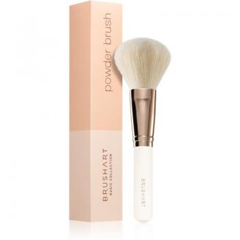 BrushArt Basic Powder Brush - Versatile Face Powder Applicator (1 pc)