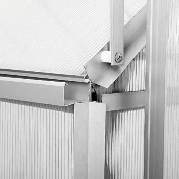 Invernadero de Aluminio Zelsius 250 x 190 cm, Paneles de 6 mm, 4,75 m², Versátil para Jardín y Cultivo