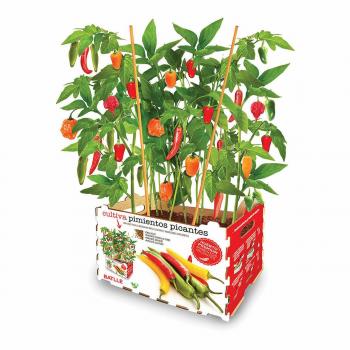 Set de Cultivo Pimientos Picantes Batlle