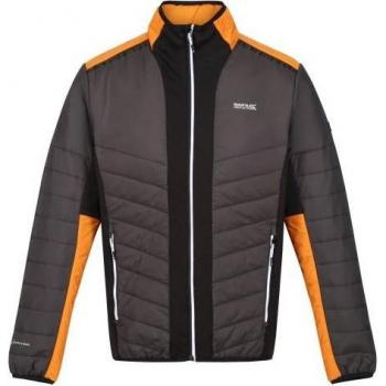 Chaqueta Acolchada Halton VII de Regatta para Hombre con Panel en Contraste y Deflector