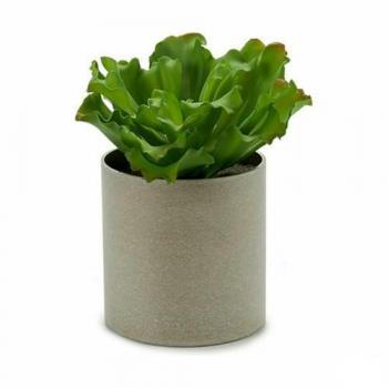 Planta Decorativa Ibergarden 20 x 25 x 20 cm (6 Unidades) - Diseños Surtidos