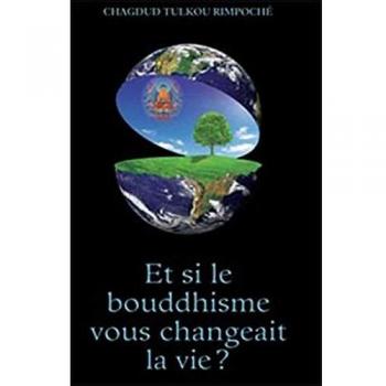 Transformative Buddhism: Life-Changing Insights by Chagdud Tulku Claire Light