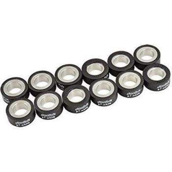 Rodillos Variadores Polini 25x11mm 8,3gr - Juego de 12 Piezas