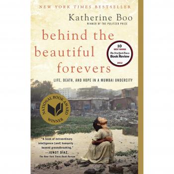 Behind the Beautiful Forevers