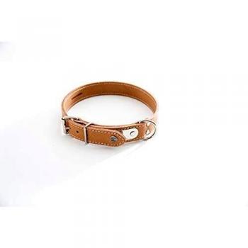 Collar acolchado para perro con placa Martin Sellier y costuras de refuerzo