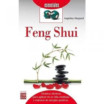 Feng Shui - Angelina Shepard