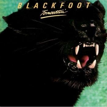 Tomcattin - Blackfoot
