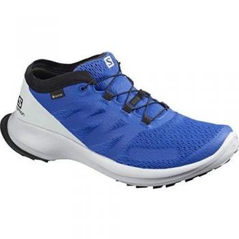 SALOMON Shoes Sense Flow GTX, Zapatillas de Running Hombre, Azul