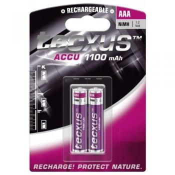 Tecxus AAA - Pilas recargables