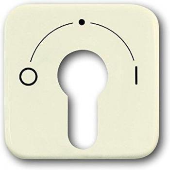 Busch-Jaeger Central Cover Plate for Key Switch - Cream White 2557 SLPZ-212-101