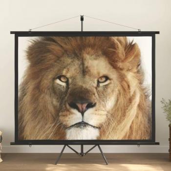 VidaXL 100 4:3 Tripod Projection Screen