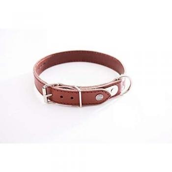 Collar acolchado para perro con placa Martin Sellier