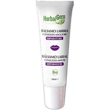 Herbalgem - Bálsamo Labial De Consuelda Mayor Bio - 10 ml