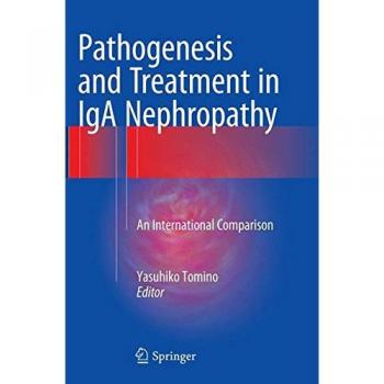 Pathogenesis and Treatment in IgA Nephropathy: An International Comparison