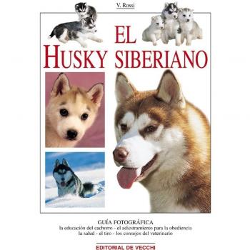 El husky siberiano